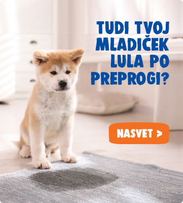Tvoj mladiček lula po preprogi?